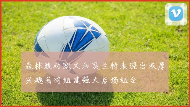 森林狼对欧文和莫兰特表现出浓厚兴趣或将组建强大后场组合